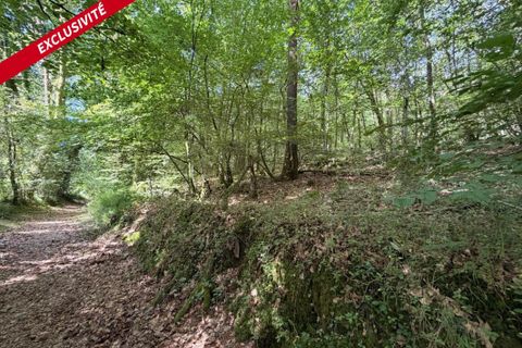 Helårsgrund i Molac, Morbihan, Molac - € 24.000 | Ref: 205191 - foto 3