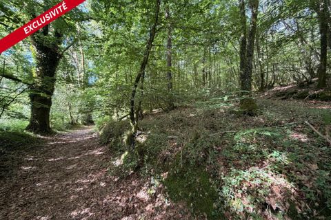 Helårsgrund i Molac, Morbihan, Molac - € 24.000 | Ref: 205191 - foto 4