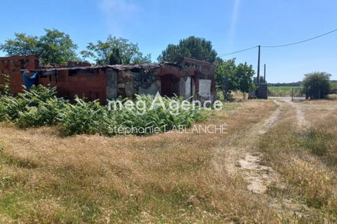 Terra a Plaisance-du-Touch, Haute-Garonne, Plaisance-du-Touch - € 160.000 | Ref: 205206 - foto 3
