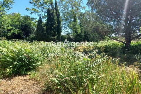 Terra a Plaisance-du-Touch, Haute-Garonne, Plaisance-du-Touch - € 160.000 | Ref: 205206 - foto 6