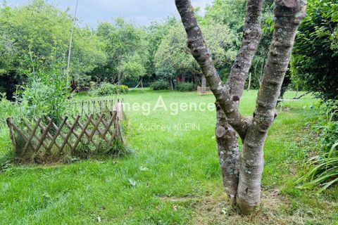 Landejendom i Thorigny-sur-Oreuse, Yonne, Thorigny-sur-Oreuse - € 299.000 | Ref: 204745 - foto 14