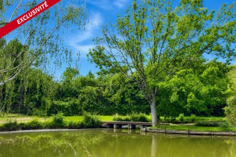 Terra a Neuvillalais, Sarthe, Neuvillalais - € 47.000 | Ref: 203680 - foto 6