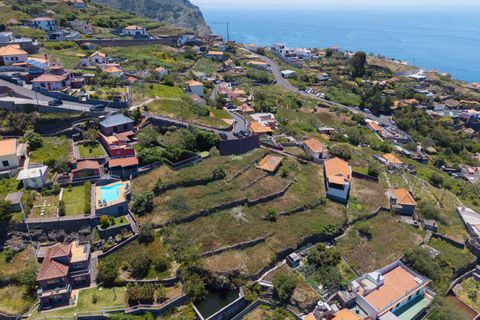 Helårsgrund i Ribeira Brava, Madeira, Ribeira Brava - € 650.000 | Ref: MOBRIEN-12715 - foto 30