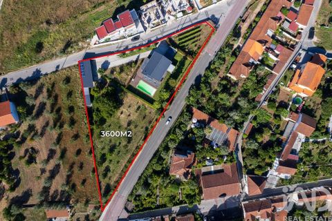 Byhus i Mealhada, Aveiro, Mealhada - € 470.000 | Ref: 948132 - foto 33