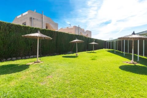 Leilighet i Torrevieja, Alicante, Torrevieja - € 125 000 | Ref: R-67996 - foto 32