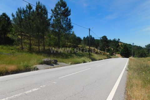 Terra a Seia, Guarda, Seia - € 28.000 | Ref: 382260056 - foto 2