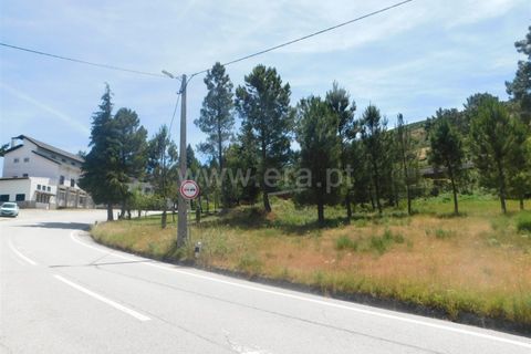 Terra a Seia, Guarda, Seia - € 28.000 | Ref: 382260056 - foto 3