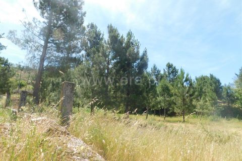 Terra a Seia, Guarda, Seia - € 28.000 | Ref: 382260056 - foto 4