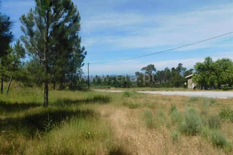 Terra a Seia, Guarda, Seia - € 28.000 | Ref: 382260056 - foto 5