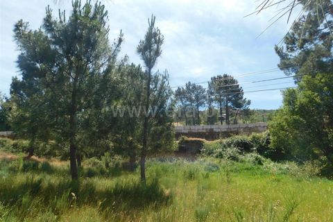 Terra a Seia, Guarda, Seia - € 28.000 | Ref: 382260056 - foto 6