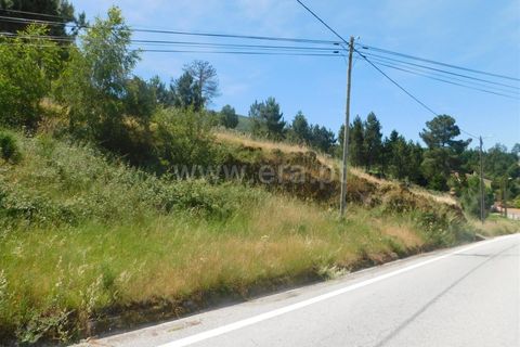 Terra a Seia, Guarda, Seia - € 28.000 | Ref: 382260056 - foto 7