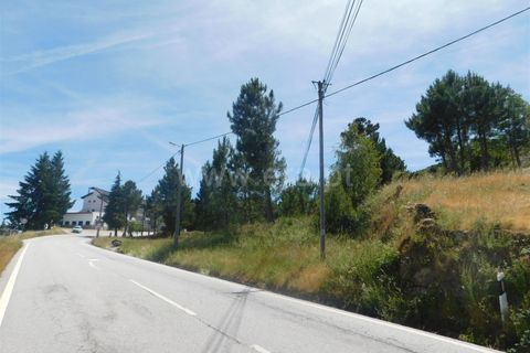 Terra a Seia, Guarda, Seia - € 28.000 | Ref: 382260056 - foto 8