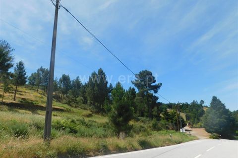 Terra a Seia, Guarda, Seia - € 28.000 | Ref: 382260056 - foto 9