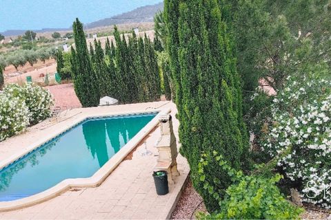 Villa i Pinoso, Alicante, Pinoso - € 375.000 | Ref: 47028-ML - foto 14