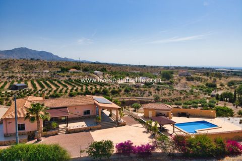 Landejendom i Albatera, Alicante, Albatera - € 540.000 | Ref: ALBA DMC -D - foto 3