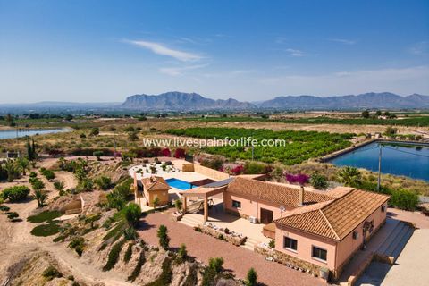 Landejendom i Albatera, Alicante, Albatera - € 540.000 | Ref: ALBA DMC -D - foto 4