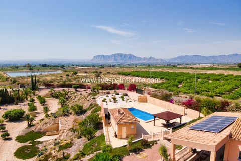 Landejendom i Albatera, Alicante, Albatera - € 540.000 | Ref: ALBA DMC -D - foto 6