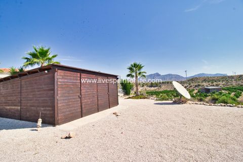 Landejendom i Albatera, Alicante, Albatera - € 540.000 | Ref: ALBA DMC -D - foto 30