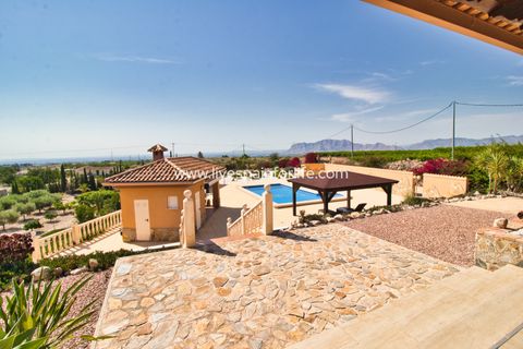 Landejendom i Albatera, Alicante, Albatera - € 540.000 | Ref: ALBA DMC -D - foto 41