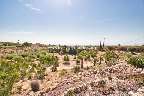 Landejendom i Albatera, Alicante, Albatera - € 540.000 | Ref: ALBA DMC -D - foto 50