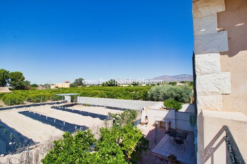 Landejendom i Albatera, Alicante, Albatera - € 345.000 | Ref: Alba ANN1 - foto 32