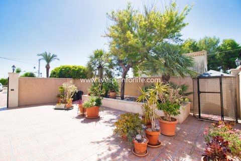 Landejendom i Albatera, Alicante, Albatera - € 345.000 | Ref: Alba ANN1 - foto 47