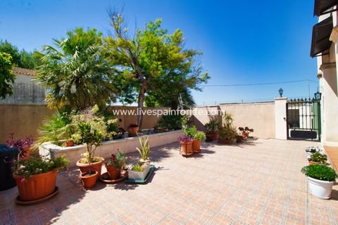 Landejendom i Albatera, Alicante, Albatera - € 345.000 | Ref: Alba ANN1 - foto 48