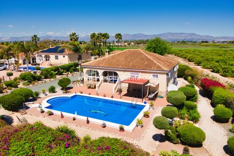 Landejendom i Catral, Alicante, Catral - € 379.995 | Ref: Cat MMTC - foto 9