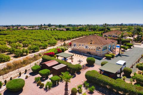 Landejendom i Catral, Alicante, Catral - € 379.995 | Ref: Cat MMTcat - foto 8