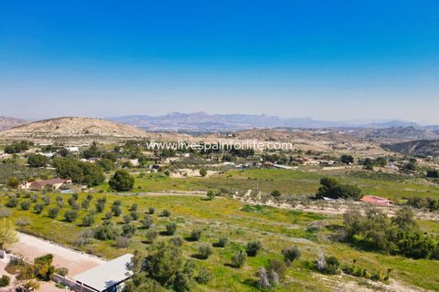 Terra a Aspe, Alicante, Aspe - € 80.000 | Ref: Asp Plot1 - foto 4