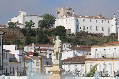 Erhvervsejendom i Estremoz, Evora, Estremoz - € 500.000 | Ref: 164677 - foto 23