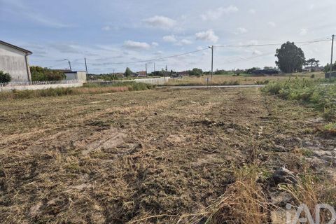 Terra a Vagos, Aveiro, Vagos - € 43.000 | Ref: 948127 - foto 2