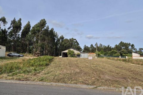 Terra a Vagos, Aveiro, Vagos - € 43.000 | Ref: 948127 - foto 3