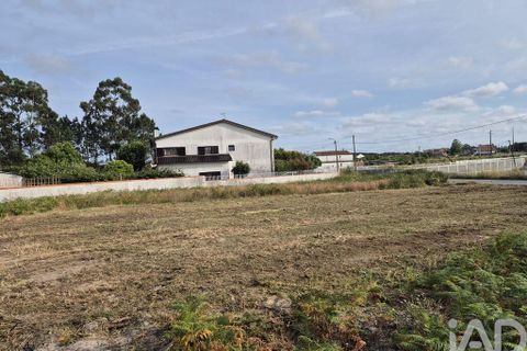 Terra a Vagos, Aveiro, Vagos - € 43.000 | Ref: 948127 - foto 4