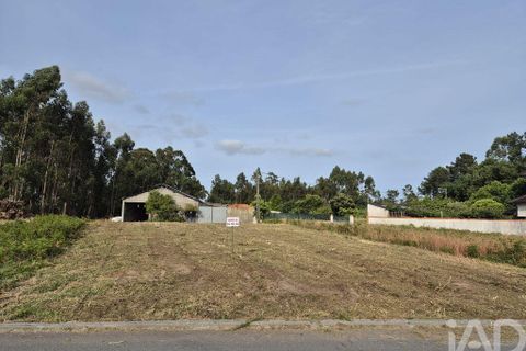 Terra a Vagos, Aveiro, Vagos - € 43.000 | Ref: 948127 - foto 5