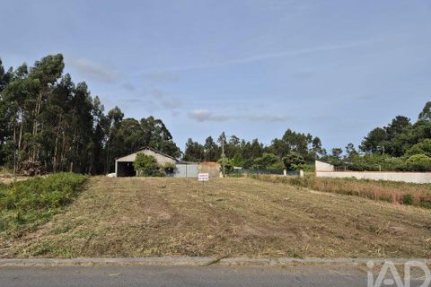Terra a Vagos, Aveiro, Vagos - € 43.000 | Ref: 948127 - foto 6