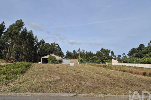 Terra a Vagos, Aveiro, Vagos - € 43.000 | Ref: 948127 - foto 7