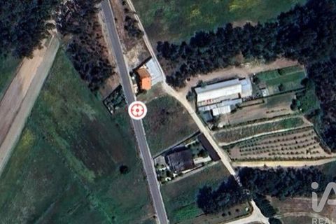 Terra a Vagos, Aveiro, Vagos - € 43.000 | Ref: 948127 - foto 8