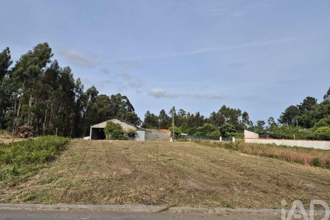 Terra a Vagos, Aveiro, Vagos - € 43.000 | Ref: 948127 - foto 9