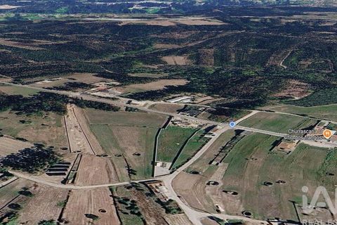 Terra a Vagos, Aveiro, Vagos - € 43.000 | Ref: 948127 - foto 10