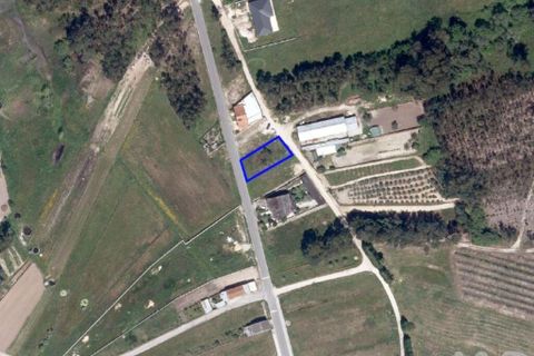 Terra a Vagos, Aveiro, Vagos - € 43.000 | Ref: 948127 - foto 12