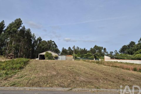 Terra a Vagos, Aveiro, Vagos - € 43.000 | Ref: 948127 - foto 13