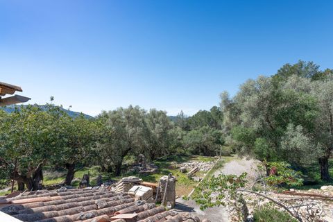 Landejendom i Pollenca, Mallorca, Pollenca - € 1.795.000 | Ref: POL52203 - foto 7
