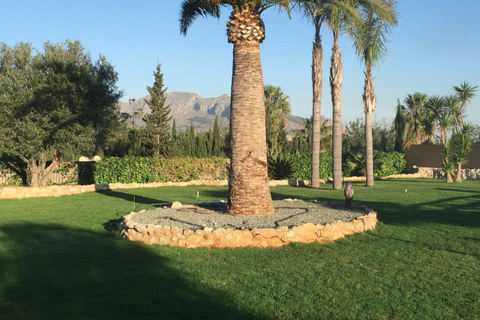 Villa i Pedreguer, Alicante, Pedreguer - € 2.495.000 | Ref: ES-DEN-019541 - foto 6