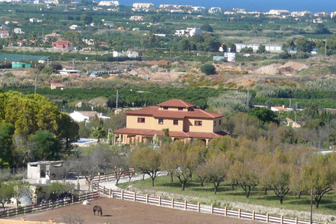 Villa i Pedreguer, Alicante, Pedreguer - € 2.495.000 | Ref: ES-DEN-019541 - foto 9