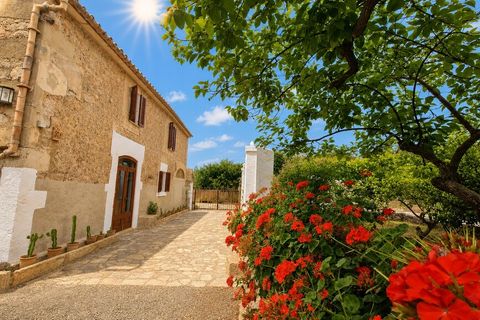 Villa in Pollenca, Mallorca, Pollenca - € 3,000/month | Ref: C-504 - photo 2