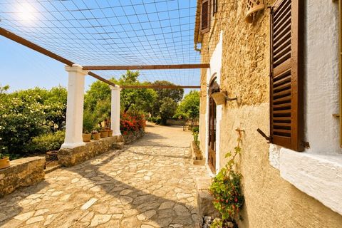 Villa in Pollenca, Mallorca, Pollenca - € 3,000/month | Ref: C-504 - photo 3