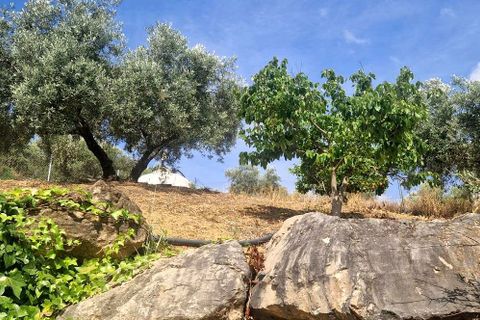Landejendom i Comares, Malaga, Comares - € 245.000 | Ref: XL4720 - foto 13