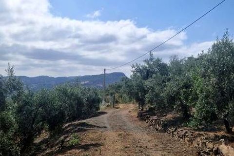 Landejendom i Comares, Malaga, Comares - € 245.000 | Ref: XL4720 - foto 15