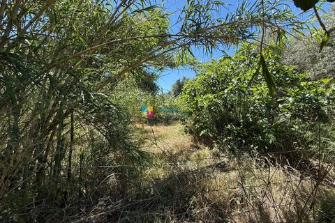 Landejendom i Albanchez, Almeria, Albanchez - € 112.000 | Ref: 2936 - foto 28
